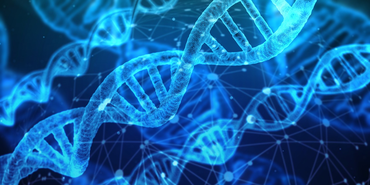 dna, genetic material, helix
